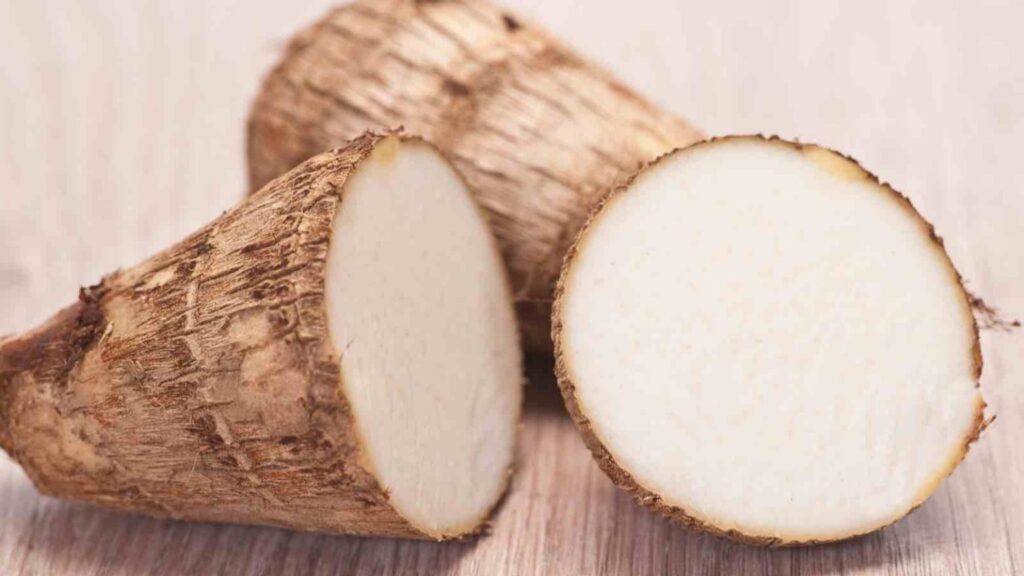 cultivo de malangas en La Palma